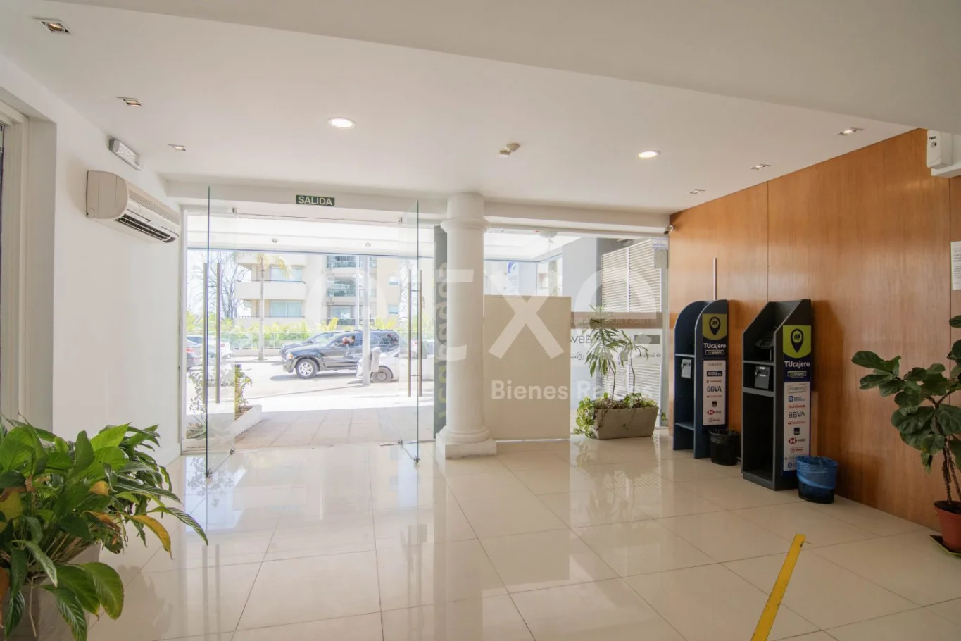 Local en Península, propiedad 298469 -Imagen 3