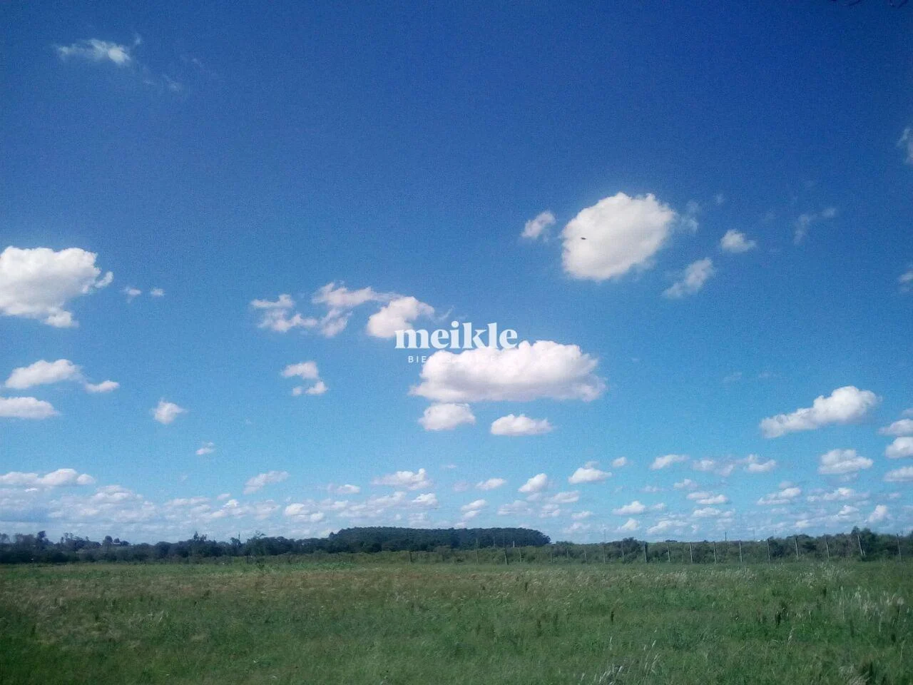 Chacra en Colonia Nicolich, propiedad 95056 -Imagen 12