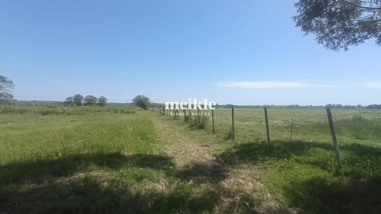Chacra en Colonia Nicolich, propiedad 95056 -Imagen 3