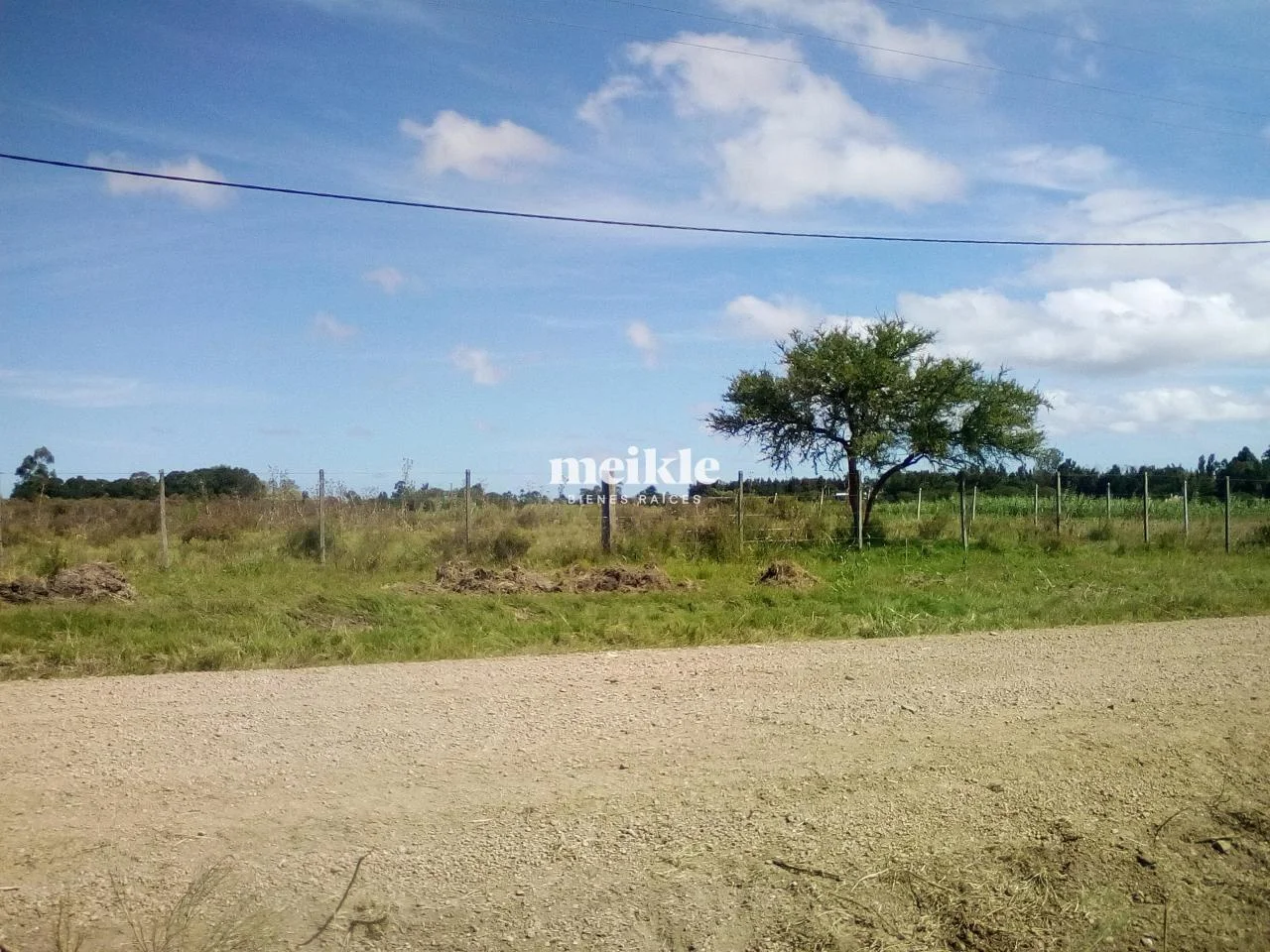 Chacra en Colonia Nicolich, propiedad 95056 -Imagen 8