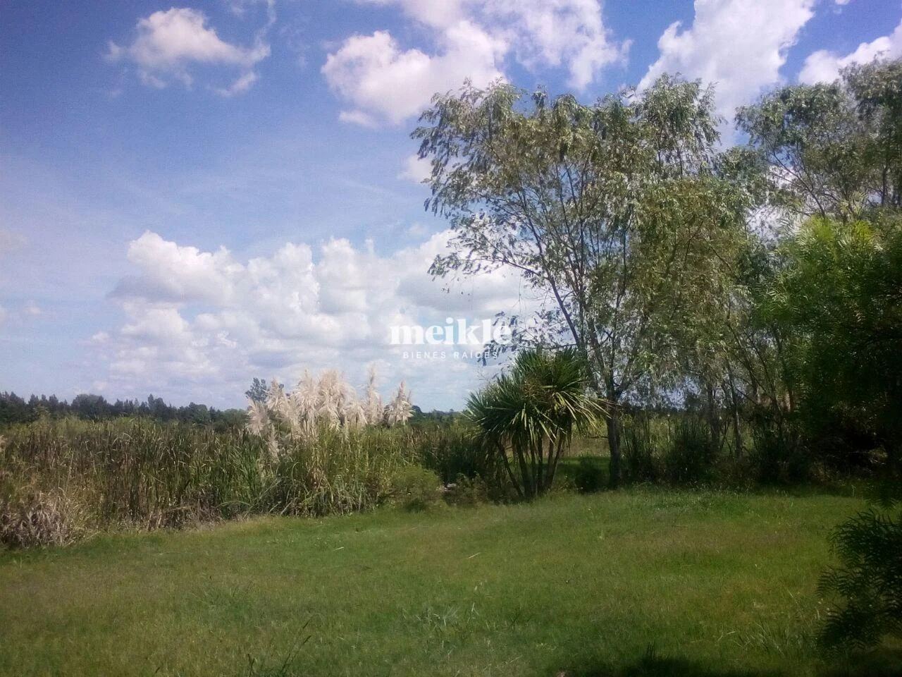 Chacra en Colonia Nicolich, propiedad 95056 -Imagen 9