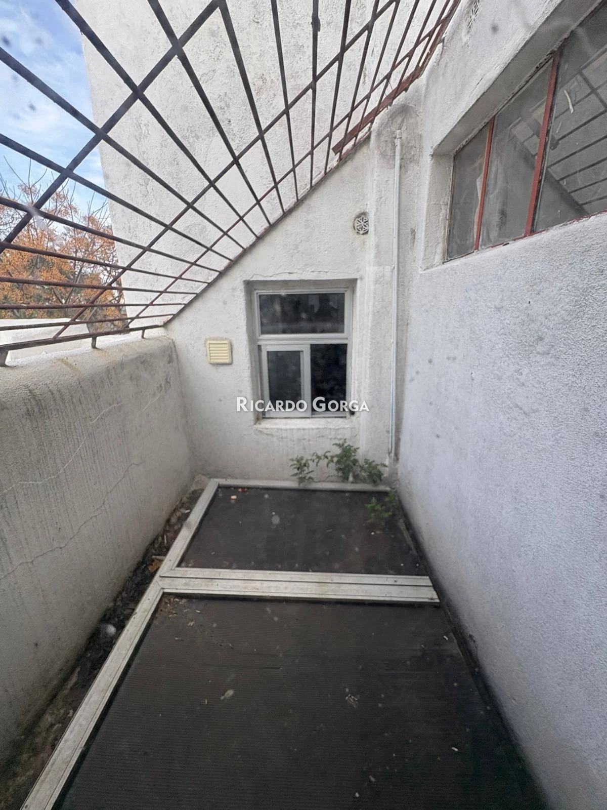 Casa en Reducto, propiedad 291775 -Imagen 9