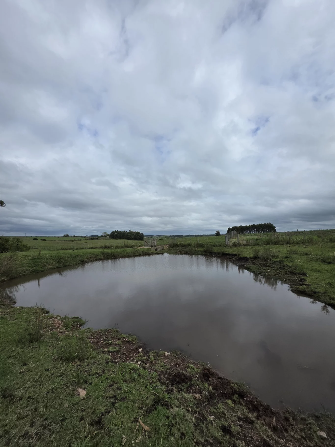Campo en Solis de Mataojo, propiedad 254045 -Imagen 2
