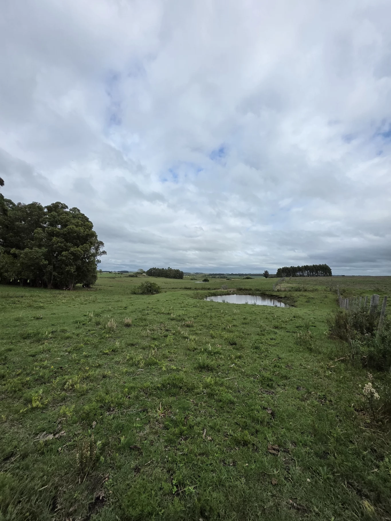 Campo en Solis de Mataojo, propiedad 254045 -Imagen 7