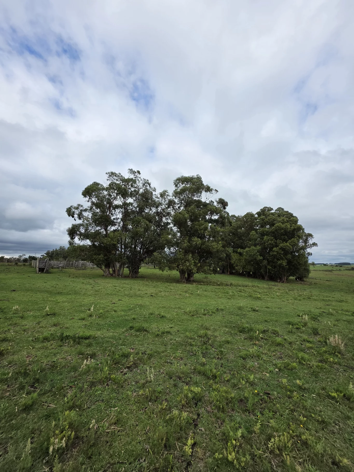 Campo en Solis de Mataojo, propiedad 254045 -Imagen 8