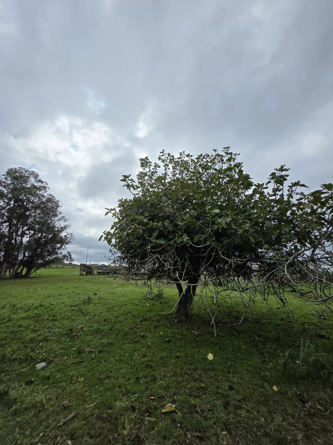 Campo en Solis de Mataojo, propiedad 254045 -Imagen 11