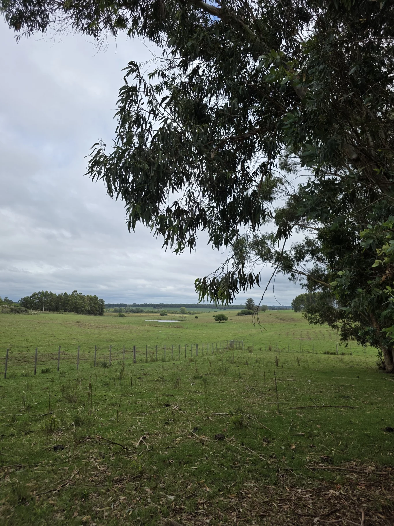 Campo en Solis de Mataojo, propiedad 254045 -Imagen 12