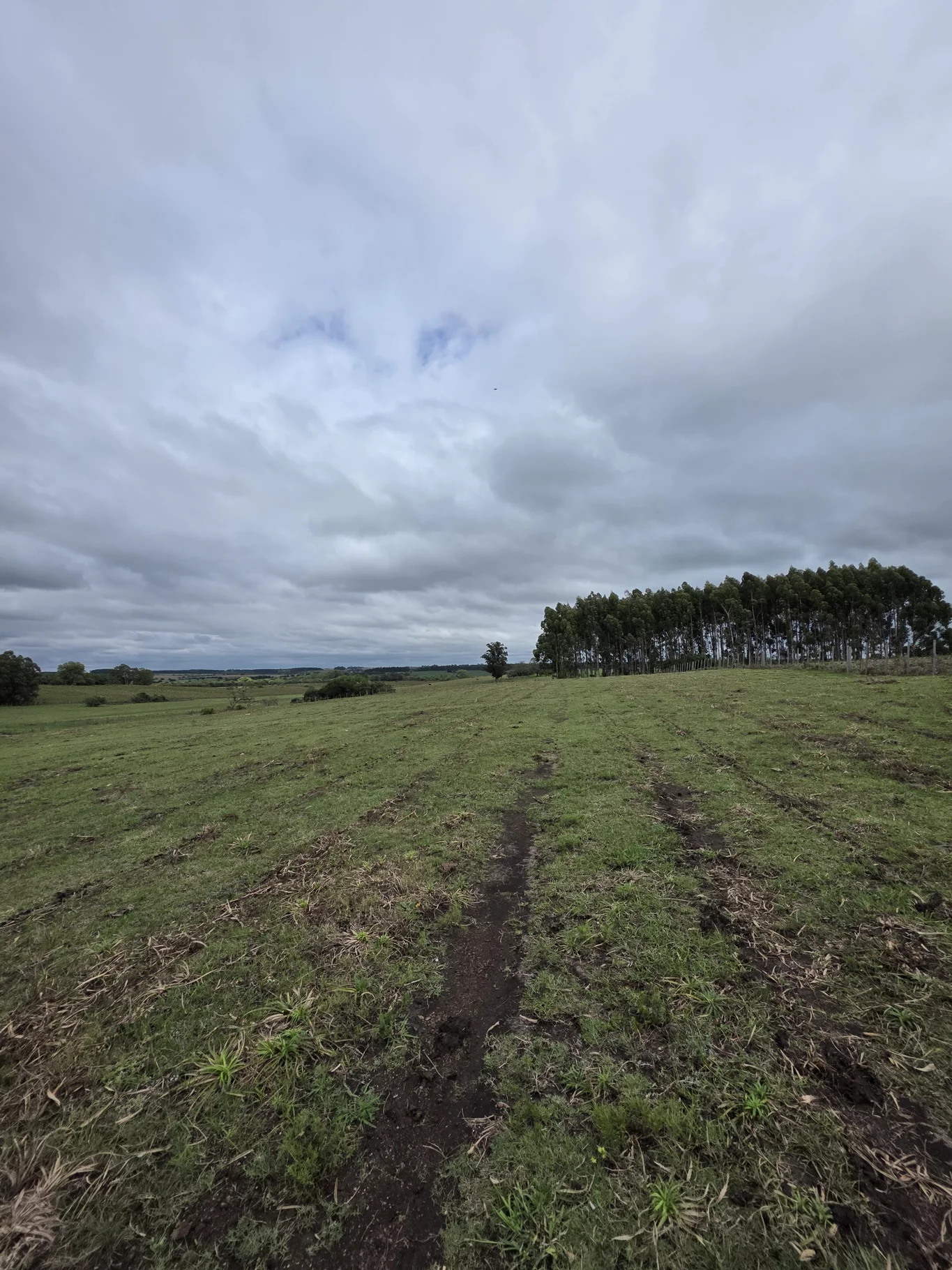 Campo en Solis de Mataojo, propiedad 254045 -Imagen 17