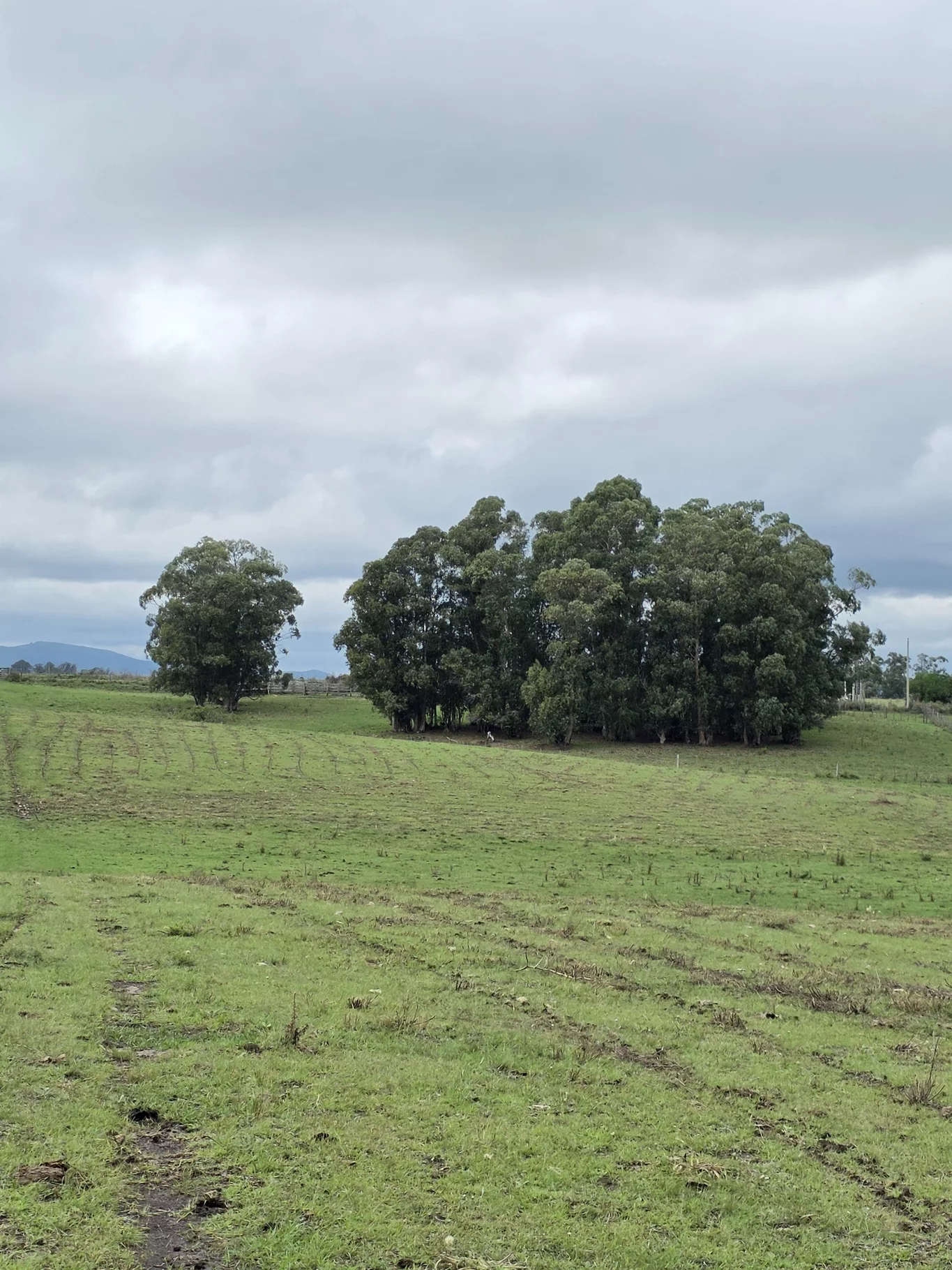 Campo en Solis de Mataojo, propiedad 254045 -Imagen 18
