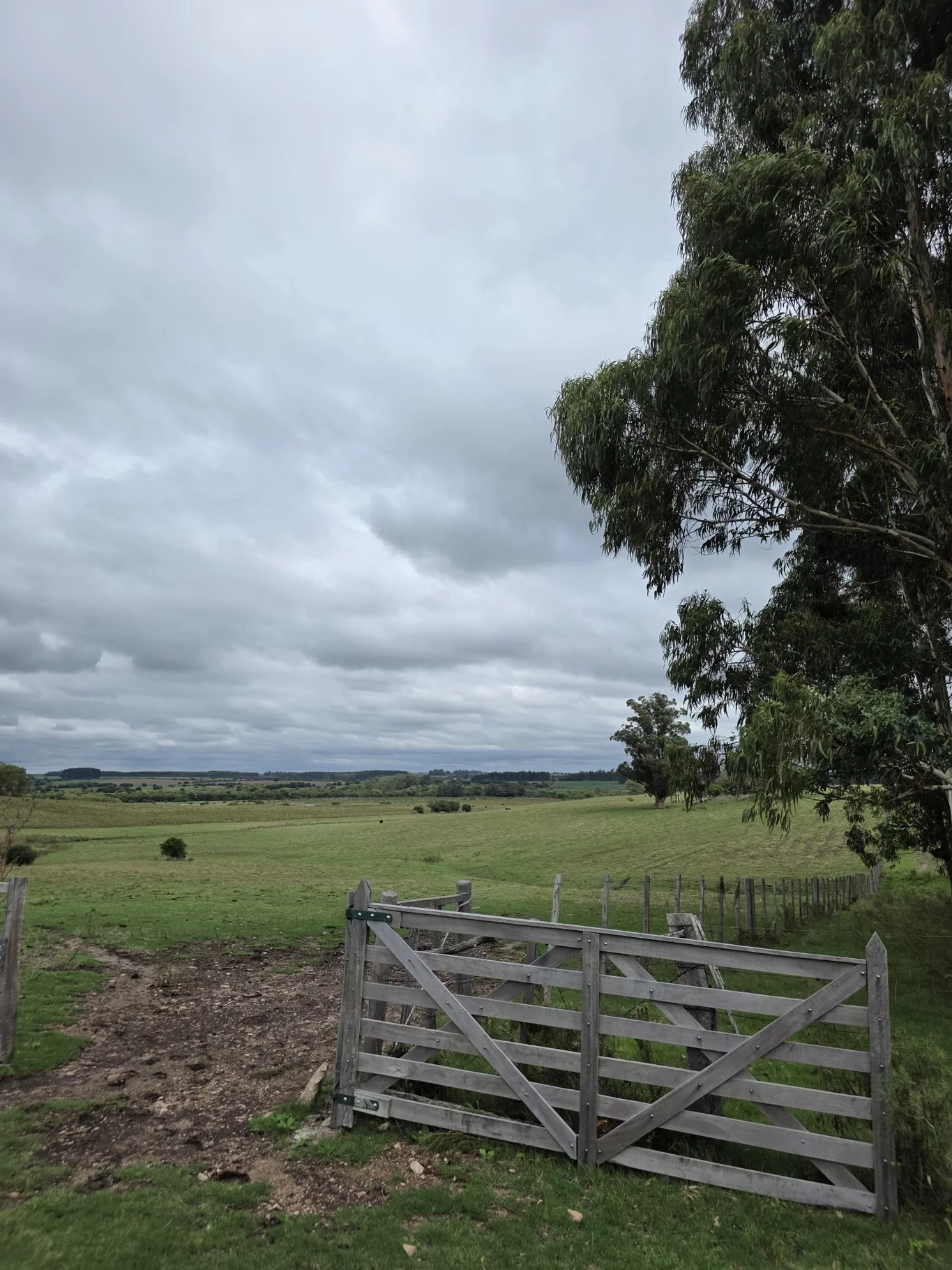 Campo en Solis de Mataojo, propiedad 254045 -Imagen 16
