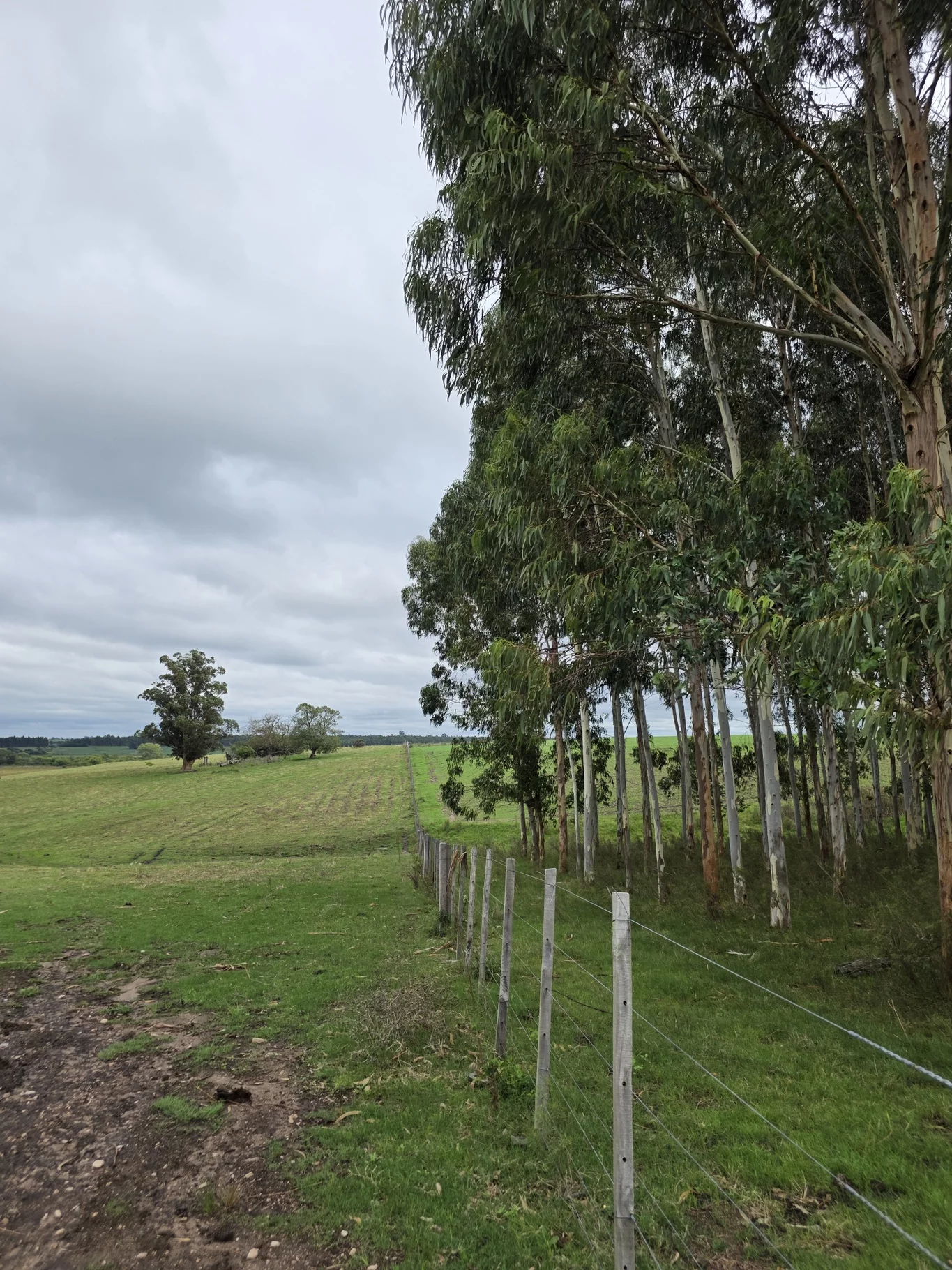 Campo en Solis de Mataojo, propiedad 254045 -Imagen 21