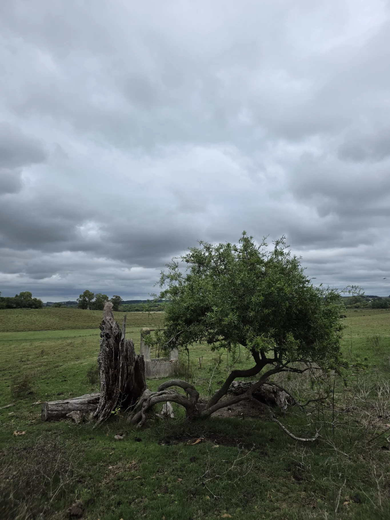 Campo en Solis de Mataojo, propiedad 254045 -Imagen 6