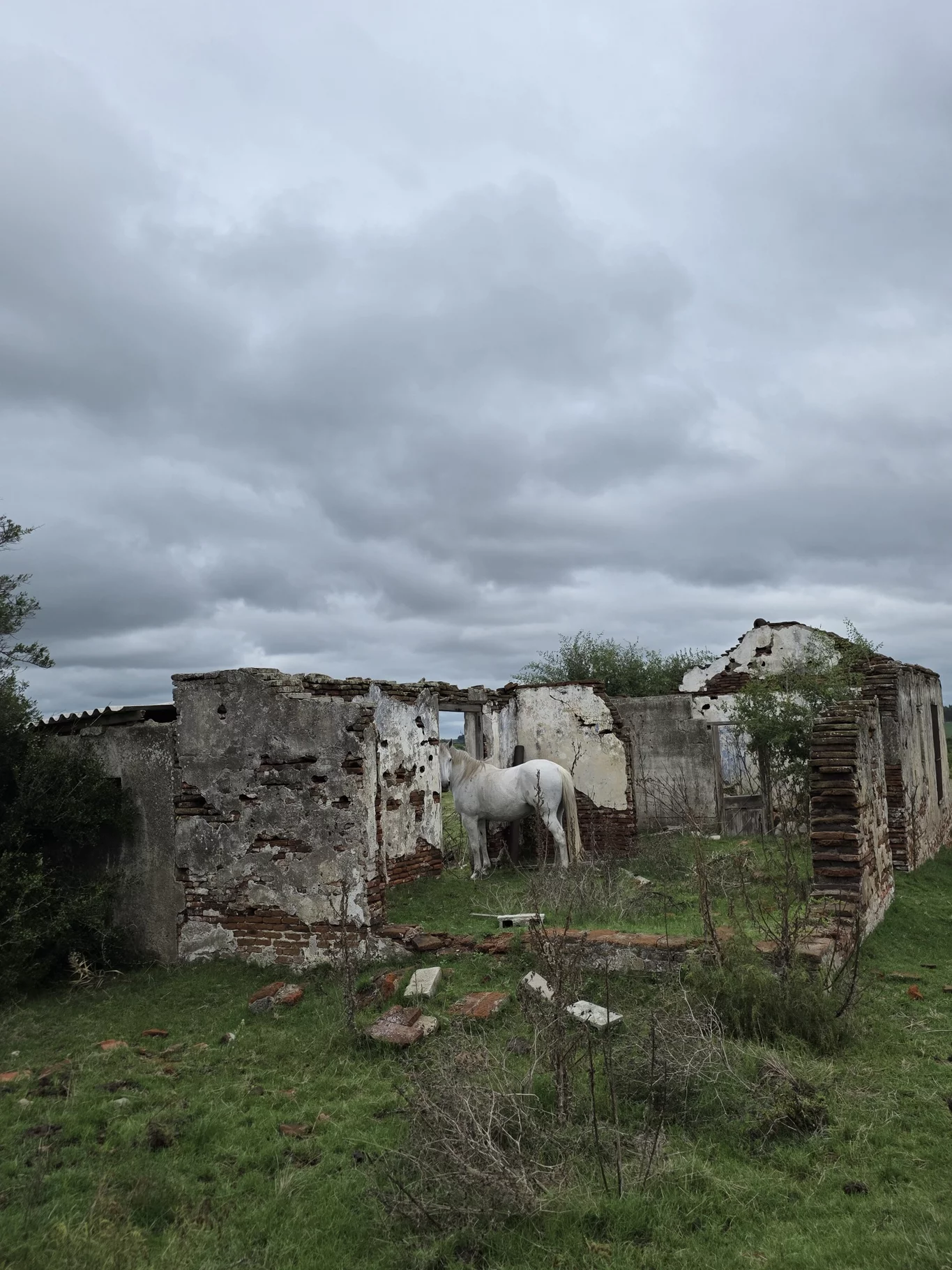 Campo en Solis de Mataojo, propiedad 254045 -Imagen 4