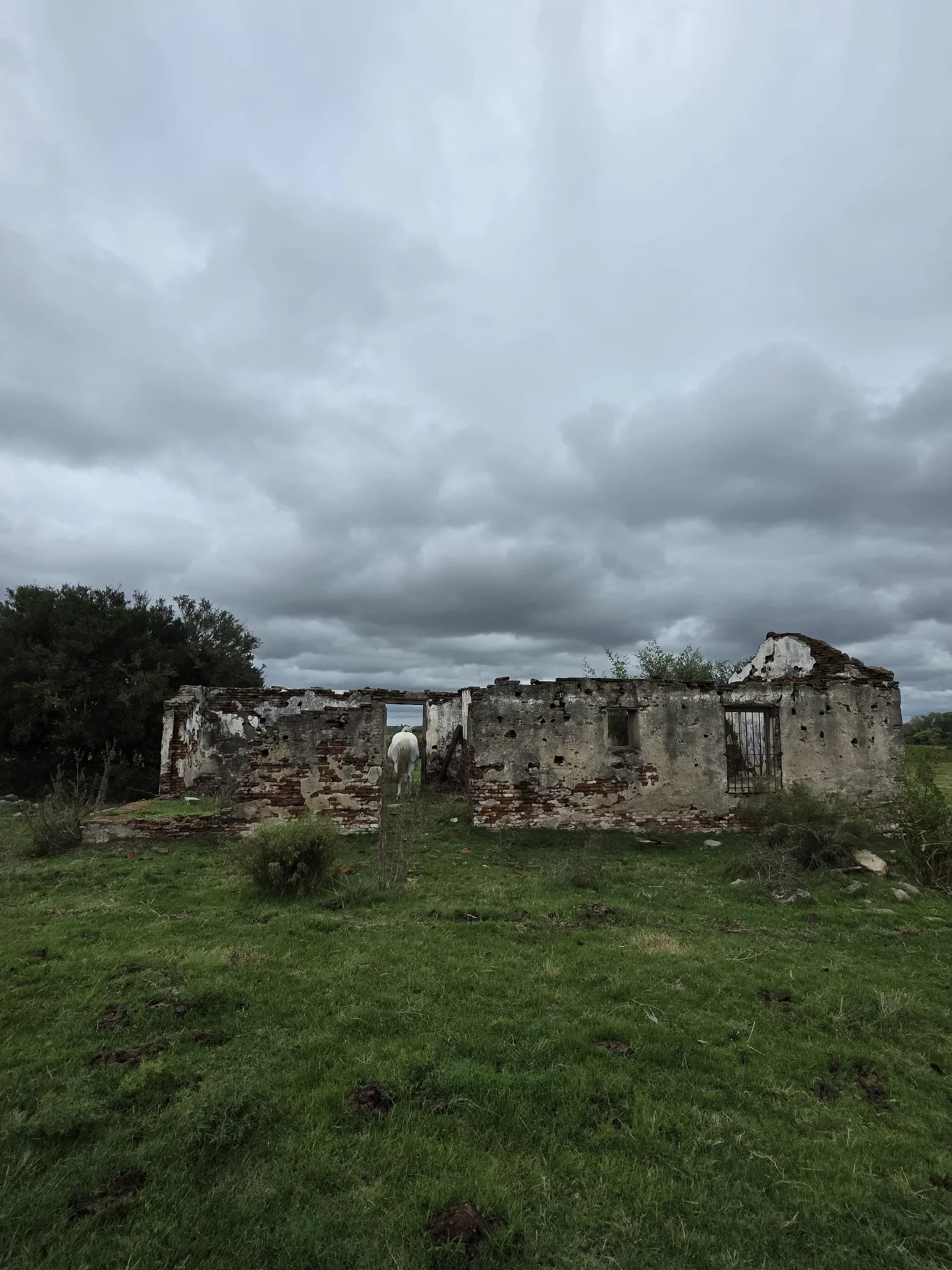 Campo en Solis de Mataojo, propiedad 254045 -Imagen 3