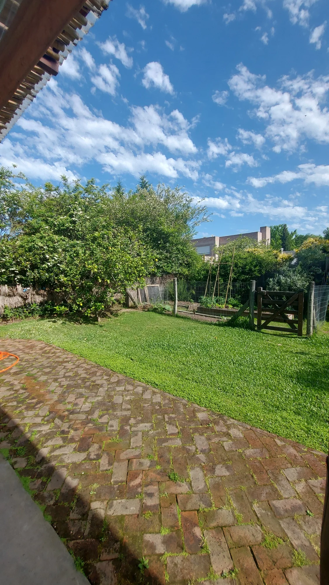 Casa en Altos de la Tahona, propiedad 285546 -Imagen 12