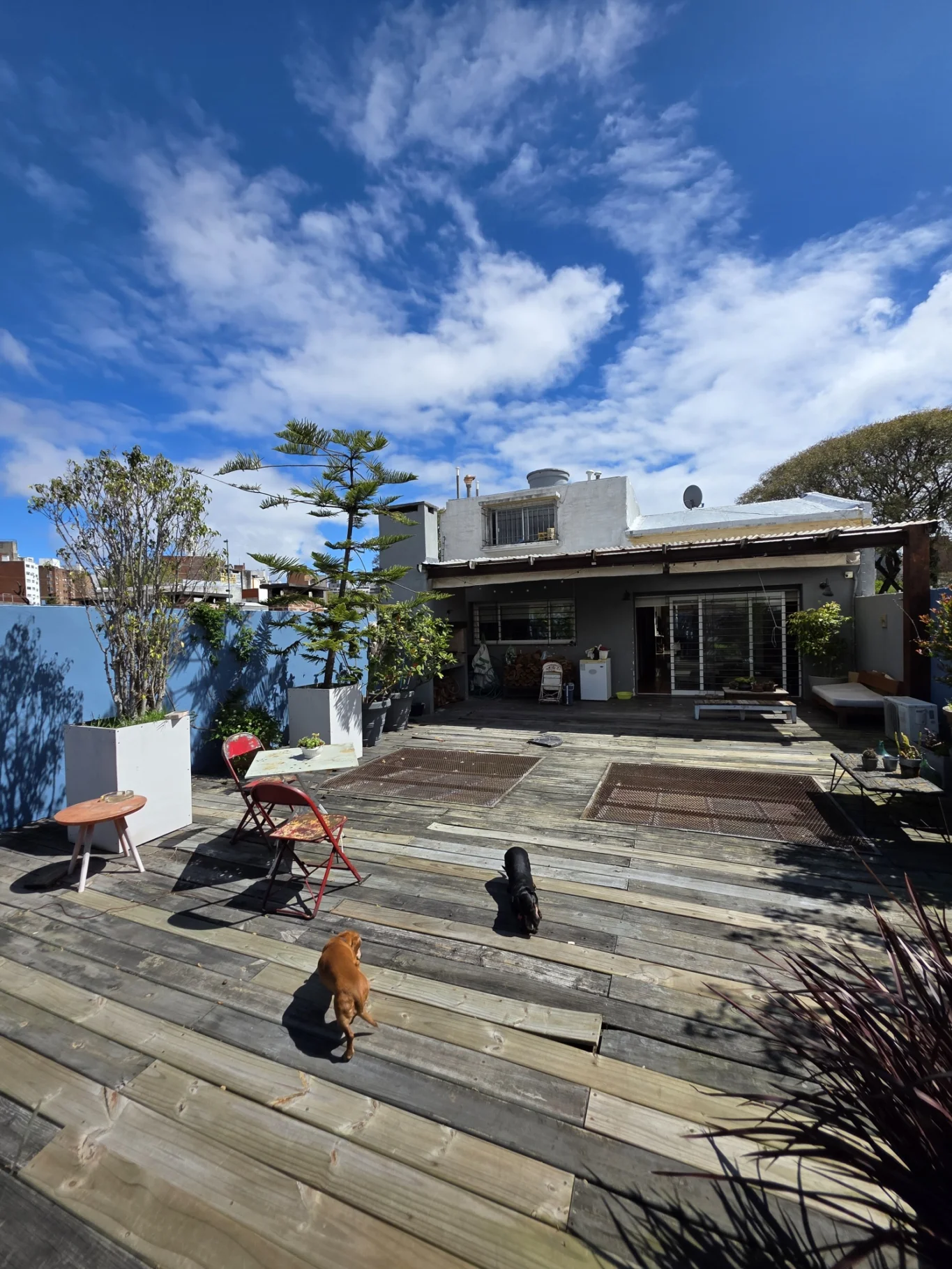 Casa en Pocitos, propiedad 302049 -Imagen 17