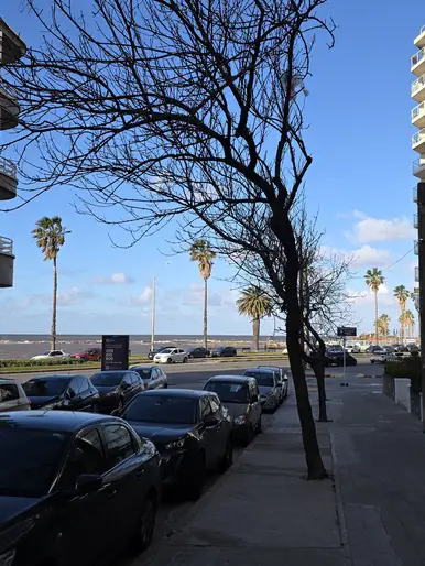 1 DORM. PUNTA CARRETAS