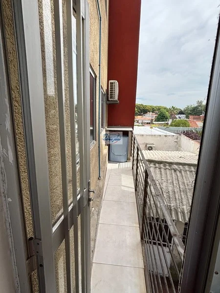 Apartamento en Punta Gorda, propiedad 286002 -Imagen 11