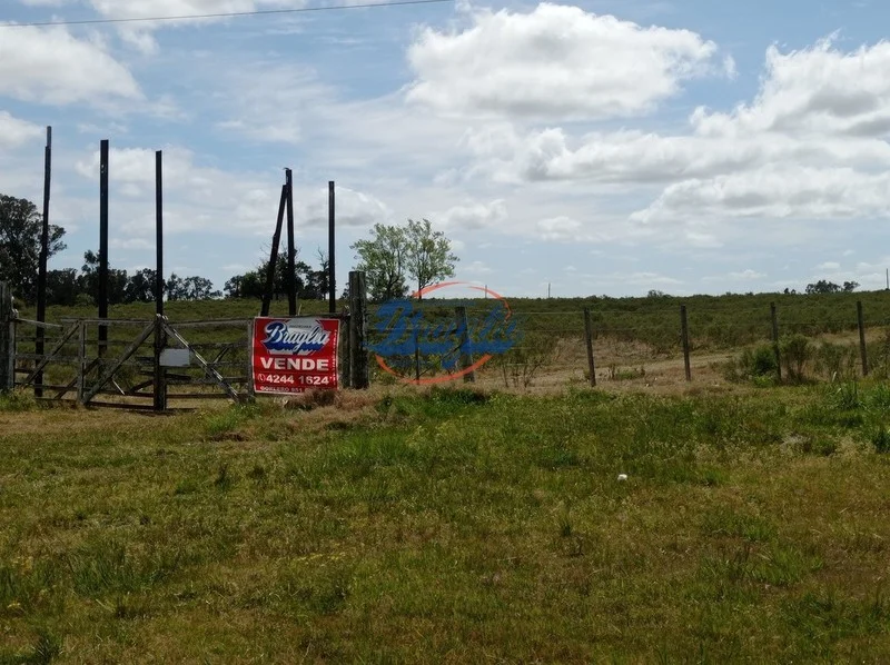 Campo en Punta del Este, propiedad 98075 -Imagen 2