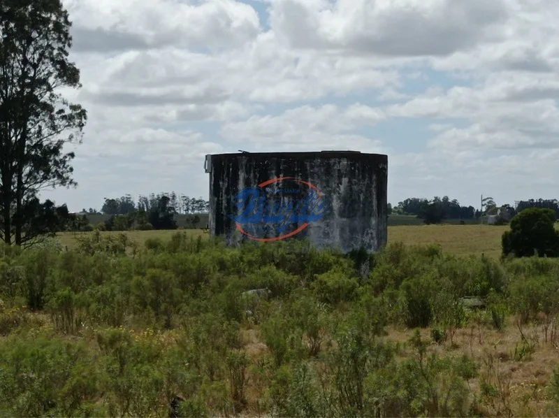 Campo en Punta del Este, propiedad 98075 -Imagen 11