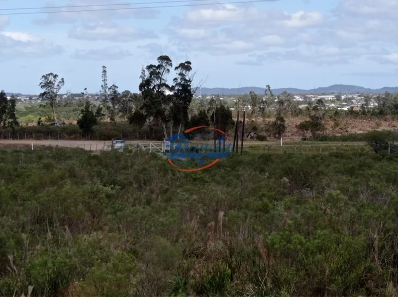 Campo en Punta del Este, propiedad 98075 -Imagen 12