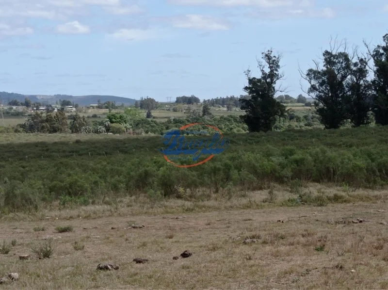 Campo en Punta del Este, propiedad 98075 -Imagen 13