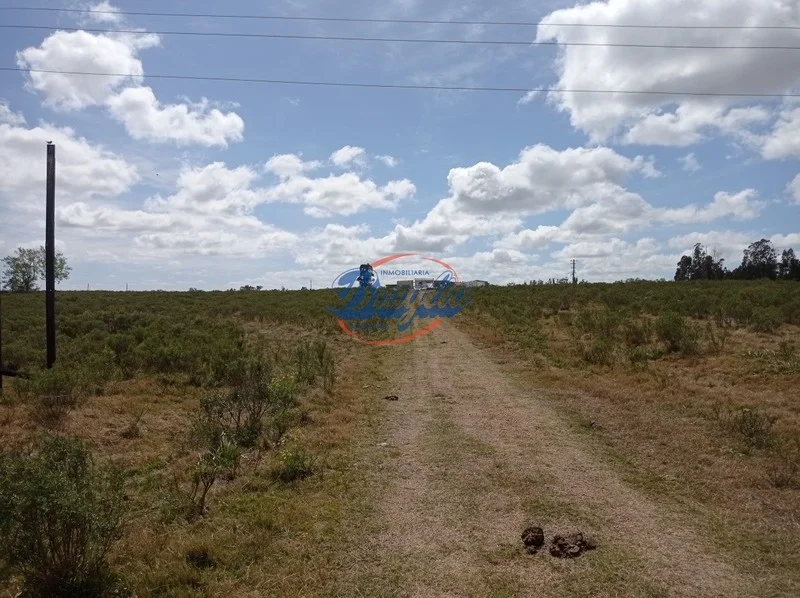 Campo en Punta del Este, propiedad 98075 -Imagen 3