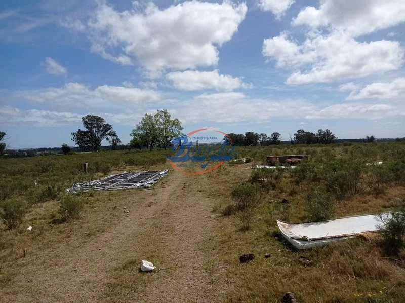 Campo en Punta del Este, propiedad 98075 -Imagen 4