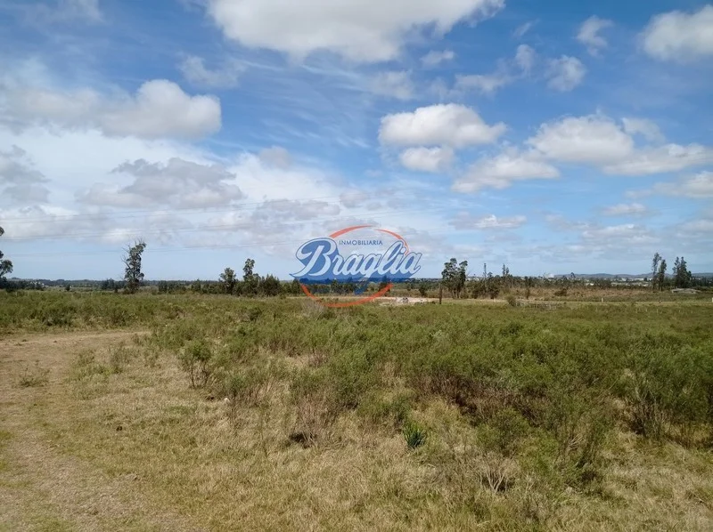 Campo en Punta del Este, propiedad 98075 -Imagen 5