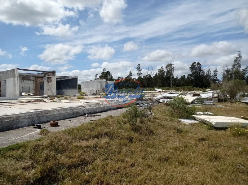 Campo en Punta del Este, propiedad 98075 -Imagen 6