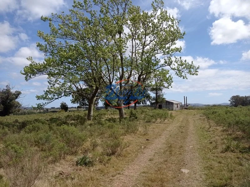Campo en Punta del Este, propiedad 98075 -Imagen 7