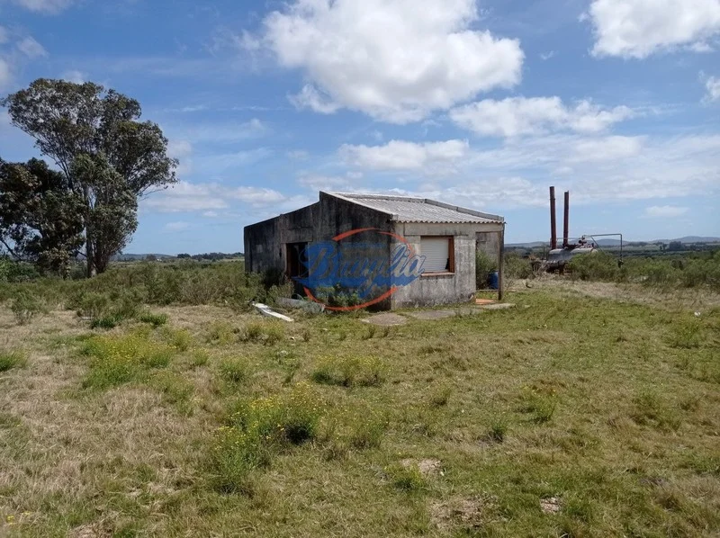 Campo en Punta del Este, propiedad 98075 -Imagen 8
