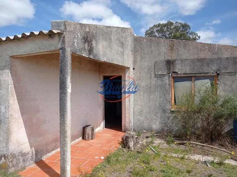 Campo en Punta del Este, propiedad 98075 -Imagen 10
