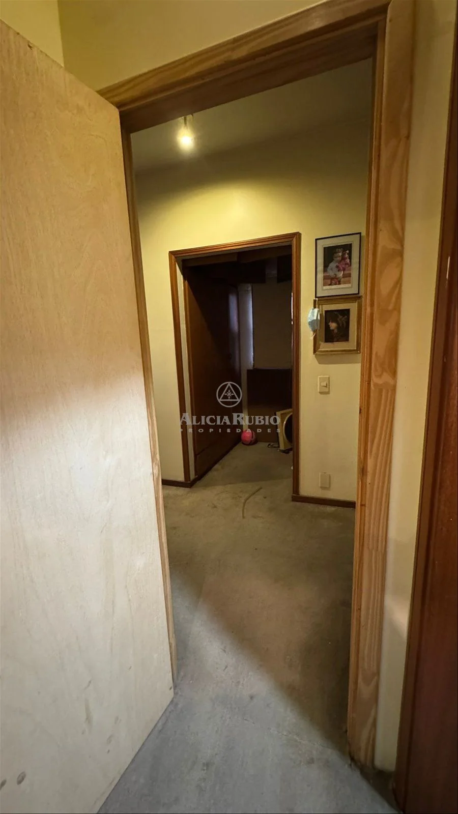 Casa en Punta Gorda, propiedad 266666 -Imagen 11