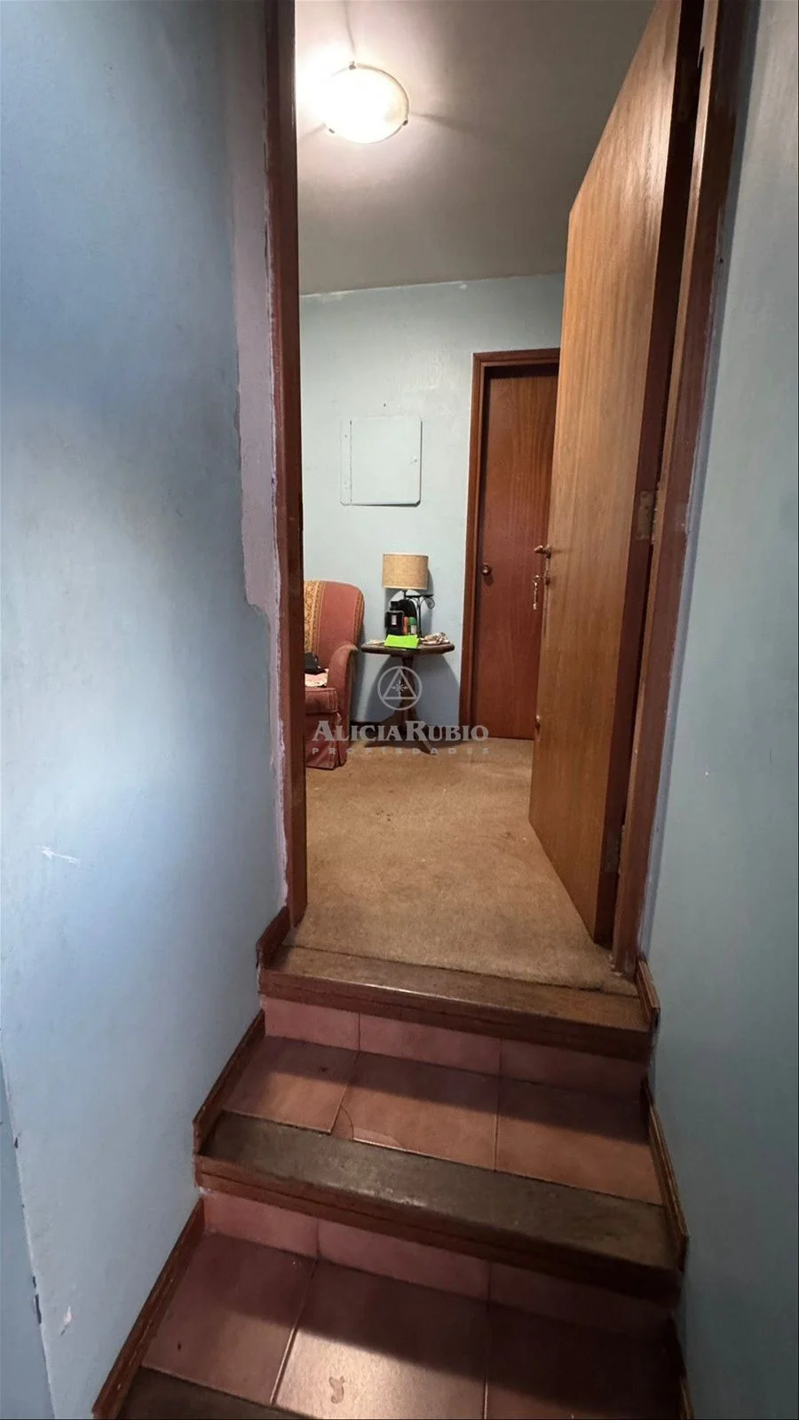 Casa en Punta Gorda, propiedad 266666 -Imagen 10