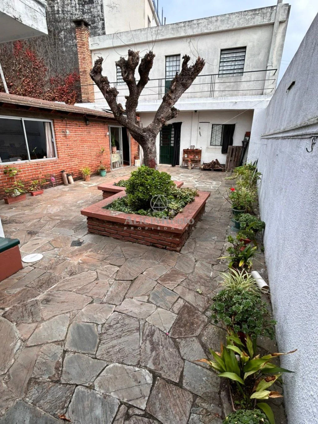 Casa en Parque Batlle, propiedad 271876 -Imagen 1