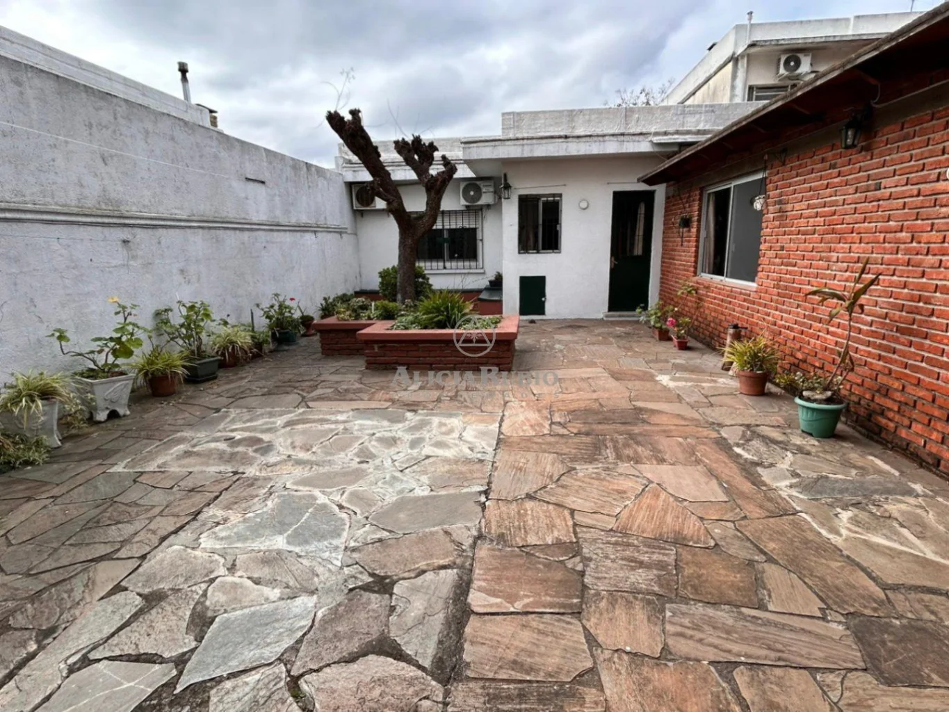 Casa en Parque Batlle, propiedad 271876 -Imagen 2