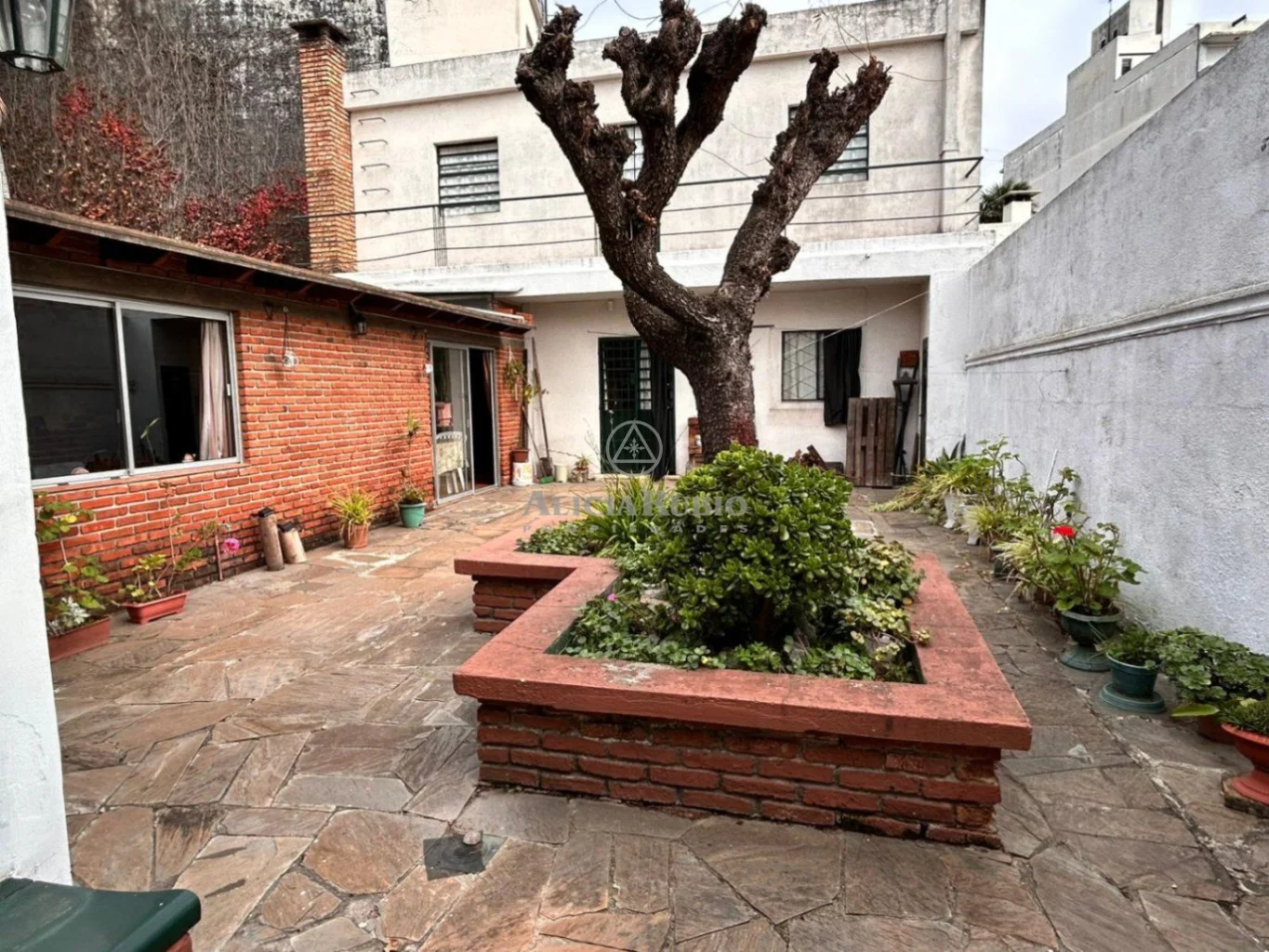 Casa en Parque Batlle, propiedad 271876 -Imagen 3