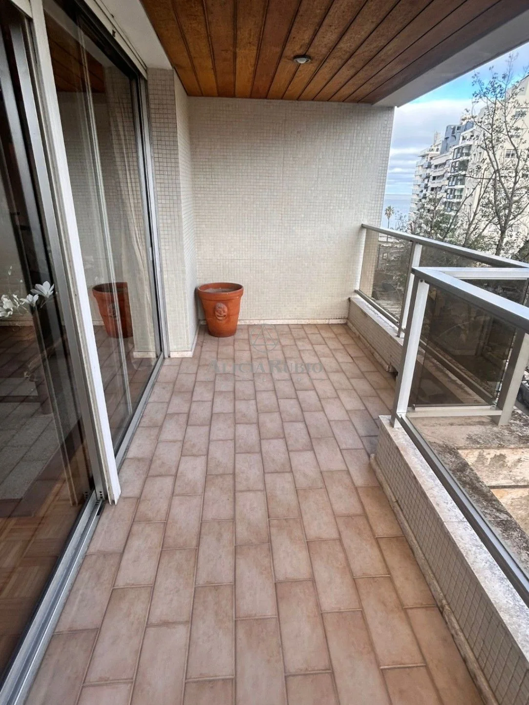 Apartamento en Villa Biarritz, propiedad 272859 -Imagen 5