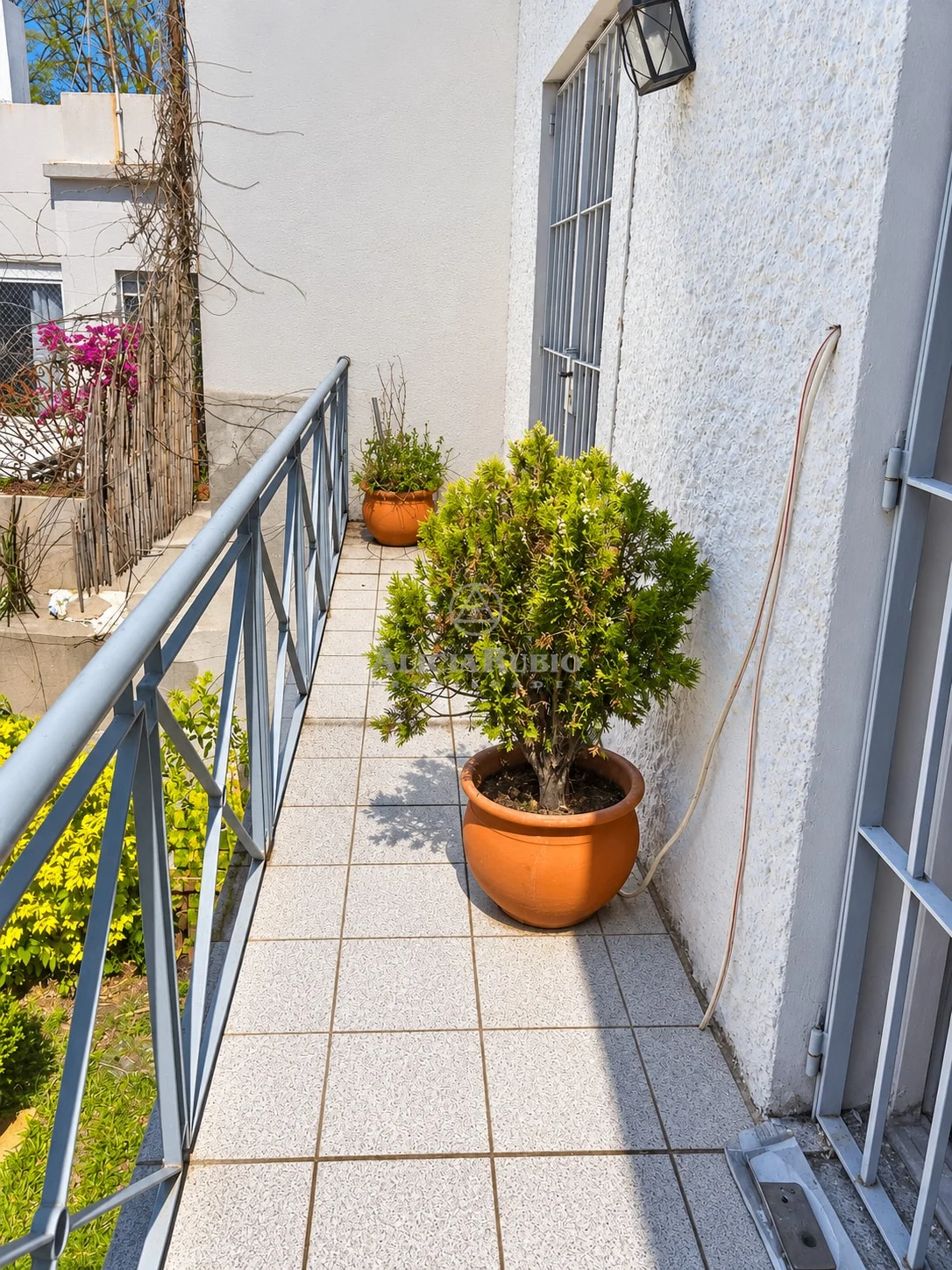 Casa en Parque Batlle, propiedad 275081 -Imagen 7