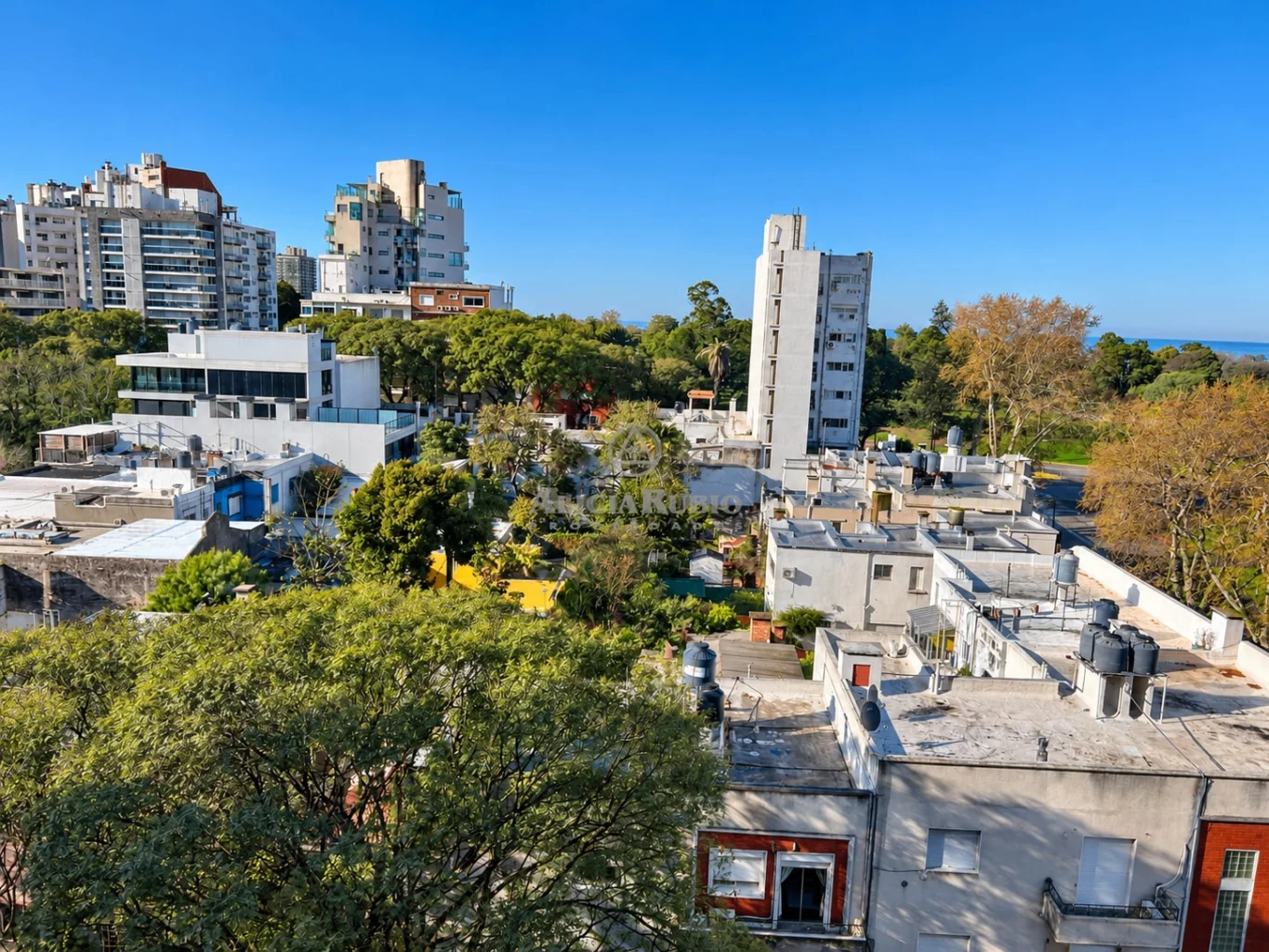 Apartamento en Parque Rodó, propiedad 294901 -Imagen 17