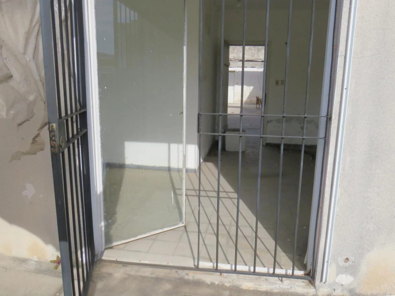 Depósito en Mercado Modelo, propiedad 127185 -Imagen 16