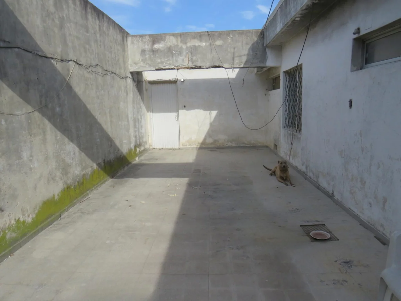 Depósito en Mercado Modelo, propiedad 127185 -Imagen 17