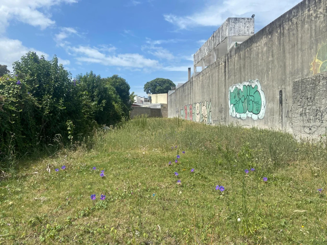 Terreno en La Blanqueada, propiedad 190034 -Imagen 11
