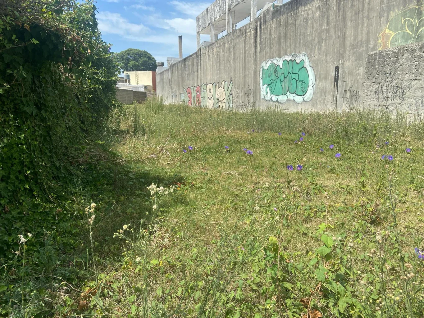 Terreno en La Blanqueada, propiedad 190034 -Imagen 12