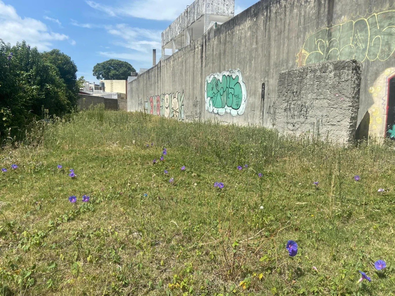 Terreno en La Blanqueada, propiedad 190034 -Imagen 6