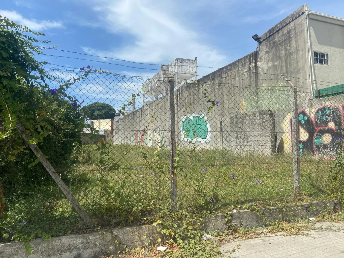 Terreno en La Blanqueada, propiedad 190034 -Imagen 8