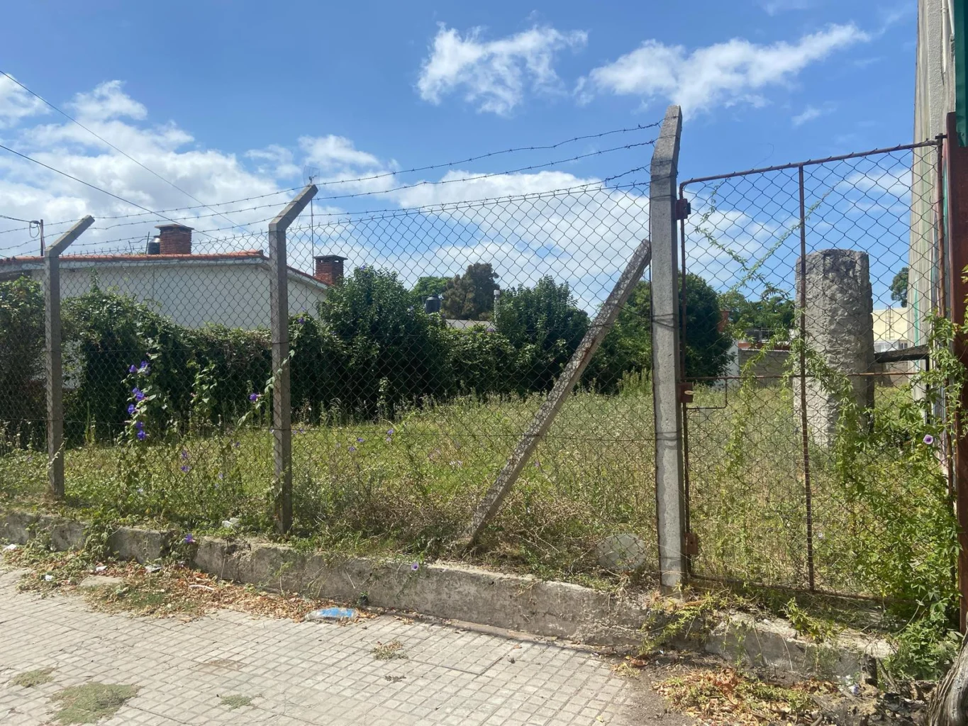 Terreno en La Blanqueada, propiedad 190034 -Imagen 9
