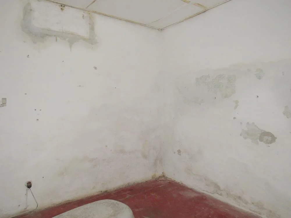 Terreno en La Teja, propiedad 79922 -Imagen 5