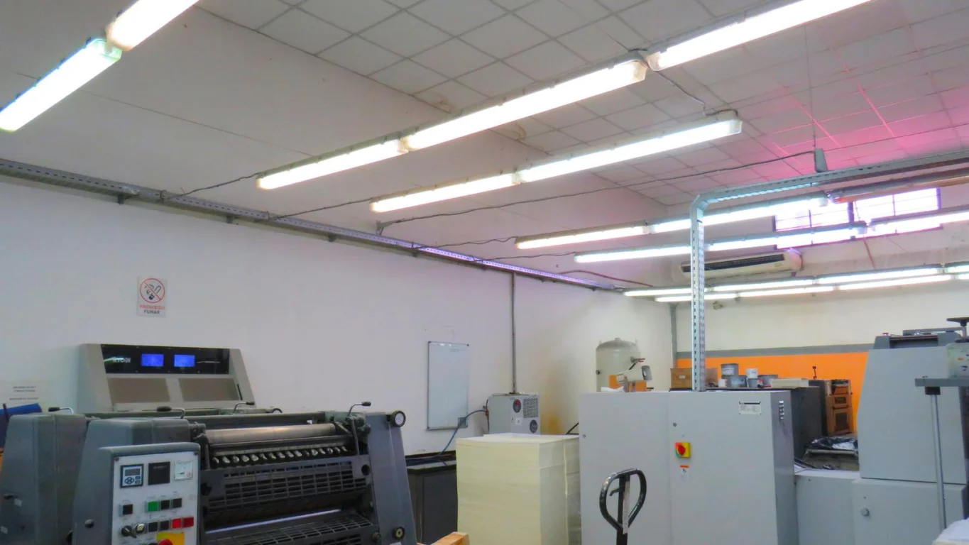 Local en Perez Castellanos, propiedad 79996 -Imagen 8